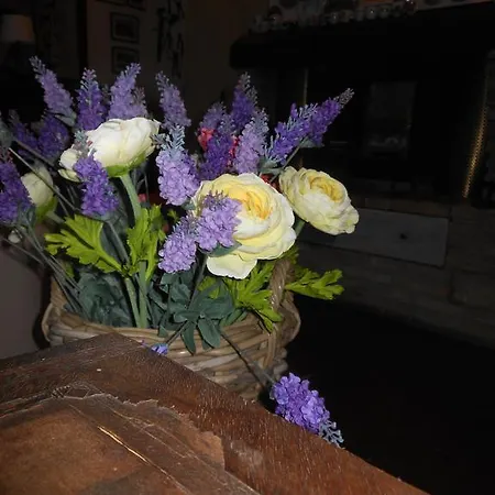 Bed and Breakfast Gli Angeli
