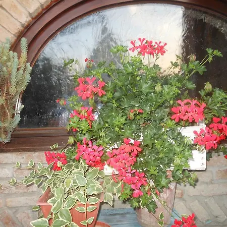 Gli Angeli