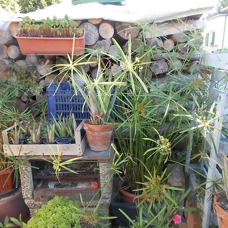Bed and Breakfast Gli Angeli